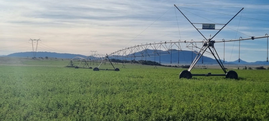 4 Bedroom Property for Sale in Queenstown Rural Eastern Cape